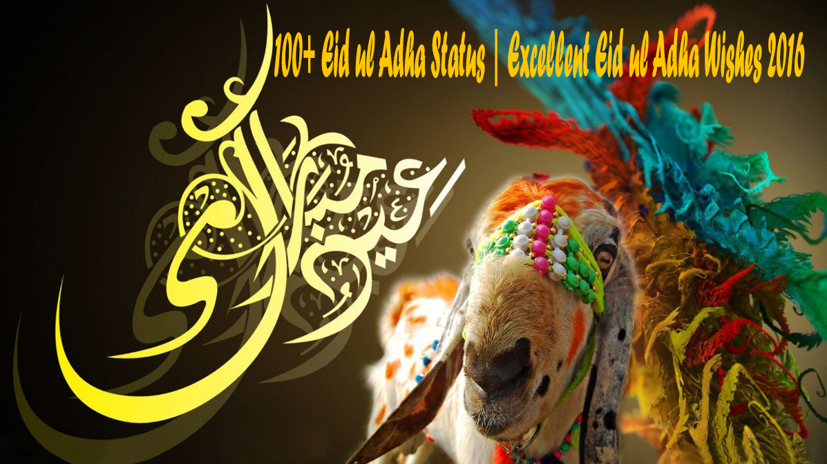 100+ Eid ul Adha Status Excellent Eid ul Adha Wishes 2016